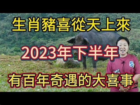 2023屬豬買房|2023年12生肖買房運勢曝！命理師大推：「這2類人」。